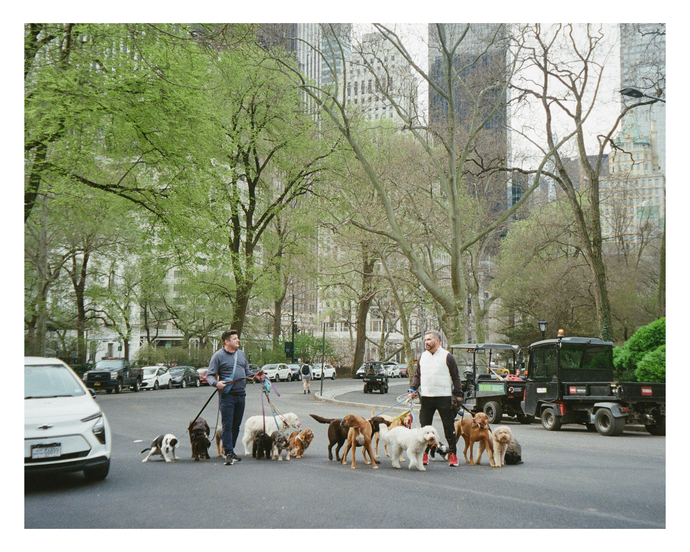 central park dog walkers