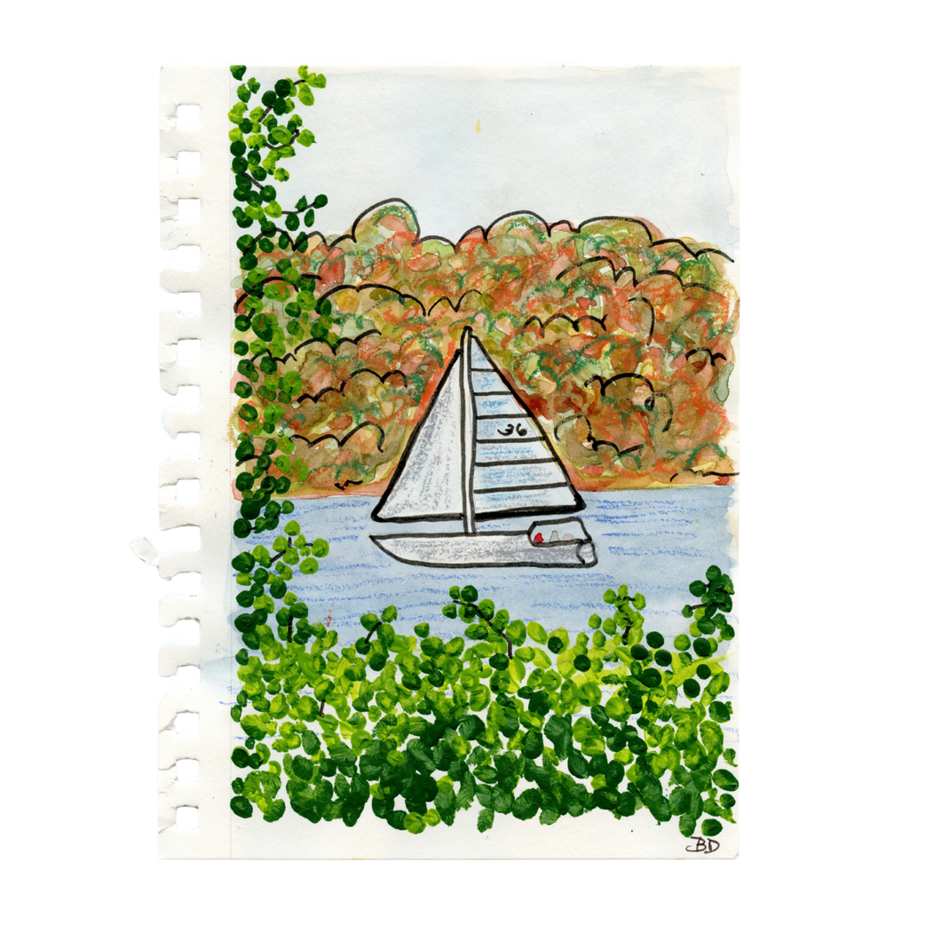 sail upstate