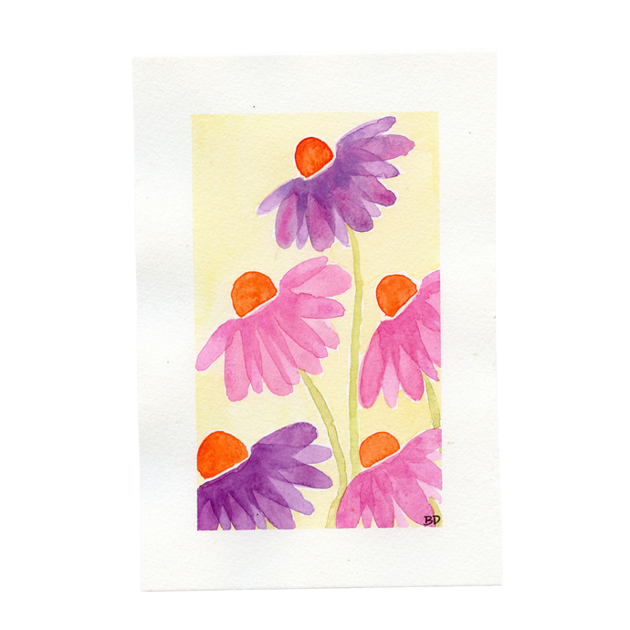 coneflowers